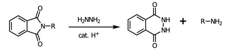 H2NNH2
NH
R-NH2
N-R
cat. H+
HN
+
