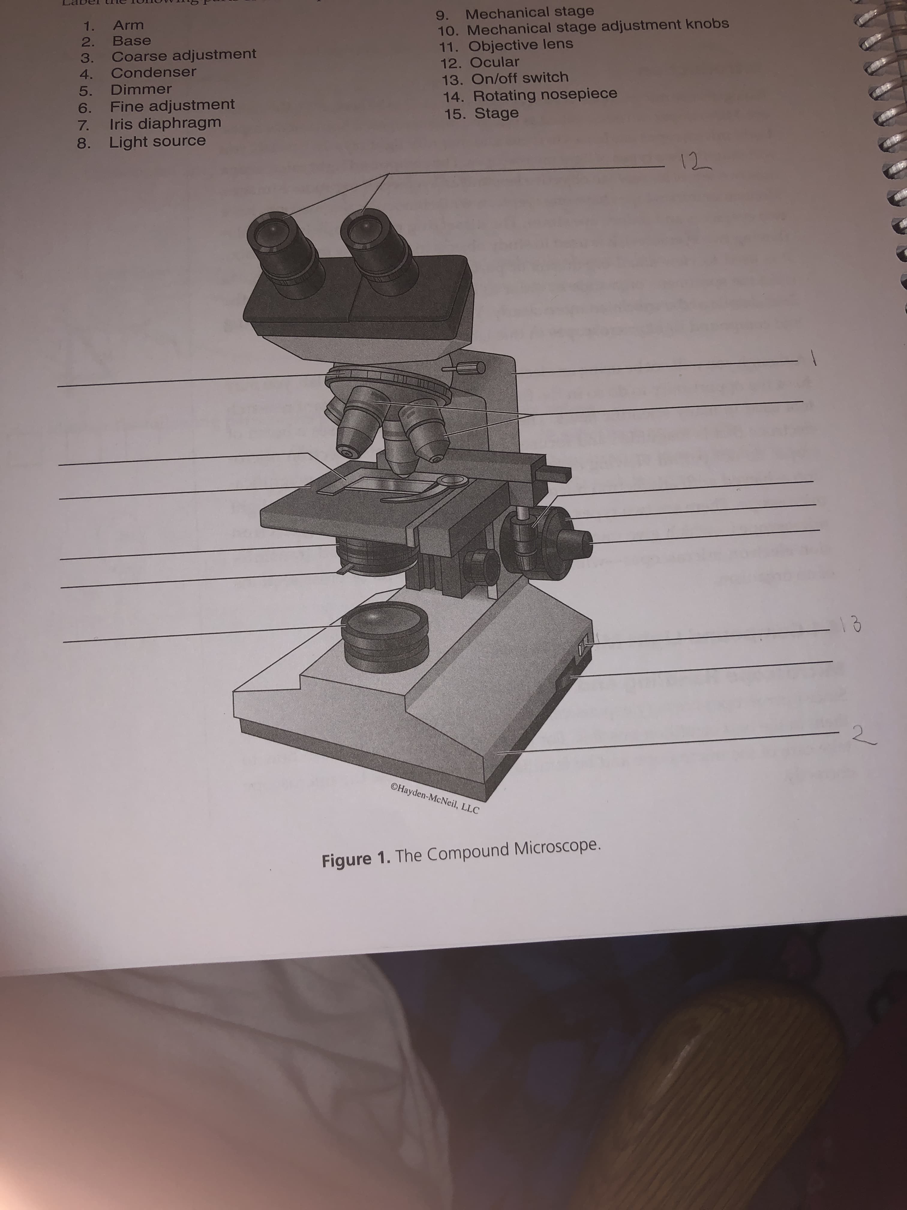 9. Mechanical stage
10. Mechanical stage adjustment knobs
11. Objective lens
12. Ocular
13. On/off switch
1. Arm
2. Base
3. Coarse adjustment
Condenser
4.
5. Dimmer
14. Rotating nosepiece
15. Stage
6. Fine adjustment
7. Iris diaphragm
8. Light source
-12
-13
2.
©Hayden-McNeil, LLC
Figure 1. The Compound Microscope.
