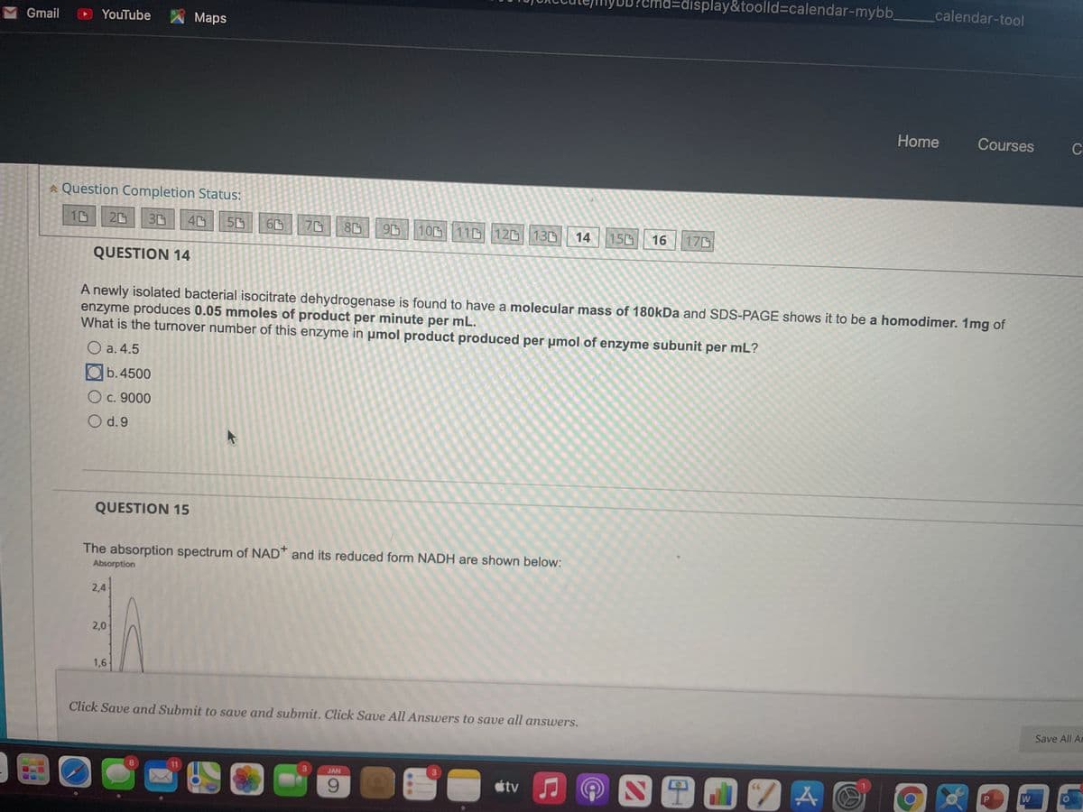 =display&toolld3calendar-mybb,
Gmail
YouTube
Maps
calendar-tool
Home
Courses
C
A Question Completion Status:
20
3D
70
100| 11凸|12D|| 130
14
150
16
170
QUESTION 14
A newly isolated bacterial isocitrate dehydrogenase is found to have a molecular mass of 180KDA and SDS-PAGE shows it to be a homodimer. 1mg of
enzyme produces 0.05 mmoles of product per minute per mL.
What is the turnover number of this enzyme in µmol product produced per pmol of enzyme subunit per mL?
O a. 4.5
Ob.4500
O c. 9000
O d.9
QUESTION 15
The absorption spectrum of NAD" and its reduced form NADH are shown below:
Absorption
2,4
2,0
1,6
Click Save and Submit to save and submit. Click Save All Answers to save all answers.
Save All Ar
8
11
JAN
9.
tv
W
...
LO
