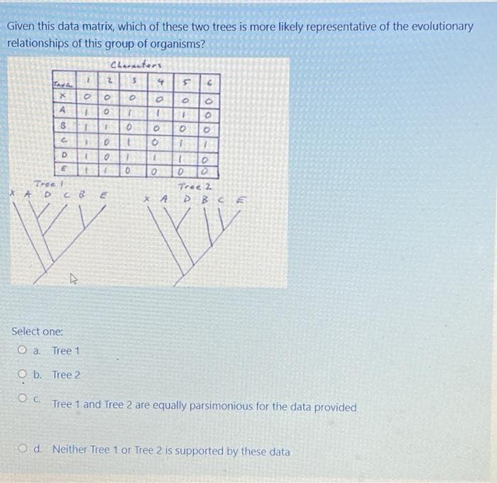 Given this data matrix, which of these two trees is more likely representative of the evolutionary
relationships of this group of organisms?
Charanters
%3D
Tree i
Tree 2
X A D
X A
D B C E
Select one:
O a. Tree 1
O b. Tree 2
Tree 1 and Tree 2 are equally parsimonious for the data provided
O d. Neither Tree 1 or Tree 2 is supported by these data
Vololo-lobl na
+0-olo-o
0-0-|-
