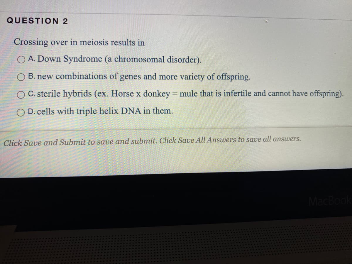 QUESTION 2
Crossing over in meiosis results in
O A. Down Syndrome (a chromosomal disorder).
B. new combinations of genes and more variety of offspring.
O C. sterile hybrids (ex. Horse x donkey = mule that is infertile and cannot have offspring).
O D. cells with triple helix DNA in them.
Click Save and Submit to save and submit. Click Save All Answers to save all answers.
MacBook
