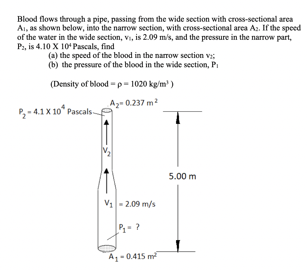 Blood flows through a pipe, passing from the wide section with cross-sectional area
A1, as shown below, into the narrow section, with cross-sectional area A2. If the speed
of the water in the wide section, V1, is 2.09 m/s, and the pressure in the narrow part,
P2, is 4.10 X 104 Pascals, find
(a) the speed of the blood in the narrow section v2;
(b) the pressure of the blood in the wide section, P1
(Density of blood = p = 1020 kg/m³ )
2
A2= 0.237 m
P, = 4.1 X 10° Pascalse
4.1 X 10* Pascals-
5.00 m
V1
= 2.09 m/s
P1= ?
A, = 0.415 m2
%3D
