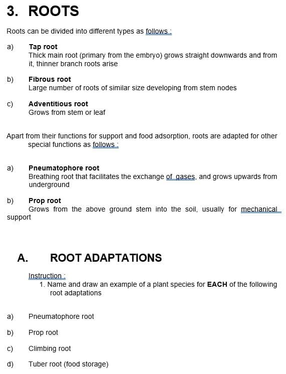 3. ROOTS
Roots can be divided into different types as follows:
a)
Tap root
Thick main root (primary from the embryo) grows straight downwards and from
it, thinner branch roots arise
b)
Fibrous root
Large number of roots of similar size developing from stem nodes
C)
Adventitious root
Grows from stem or leaf
Apart from their functions for support and food adsorption, roots are adapted for other
special functions as follows:
a)
Pneumatophore root
Breathing root that facilitates the exchange of gases, and grows upwards from
underground
b)
Prop root
Grows from the above ground stem into the soil, usually for mechanical
support
A.
ROOT ADAPTATIONS
Instruction:
1. Name and draw an example of a plant species for EACH of the following
root adaptations
Pneumatophore root
Prop root
Climbing root
Tuber root (food storage)
a)
b)
C)
d)