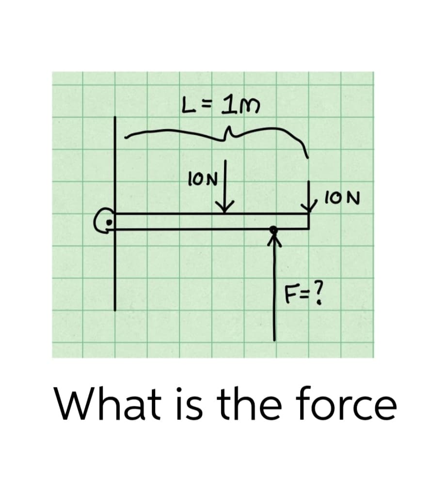 L= 1m
ION
ION
F=?
What is the force
