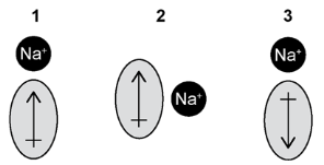 1
Nat
(1)
(1)
2
Nat
3
Na
(1)