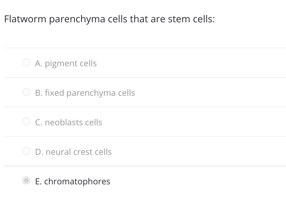 Flatworm parenchyma cells that are stem cells:
O A. pigment cells
B. fixed parenchyma cells
O C. neoblasts cells
D. neural crest cells
E. chromatophores
