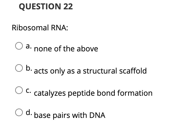 QUESTION 22
Ribosomal RNA:
a. none of the above
b.
acts only as a structural scaffold
O C. catalyzes peptide bond formation
d. base pairs with DNA
