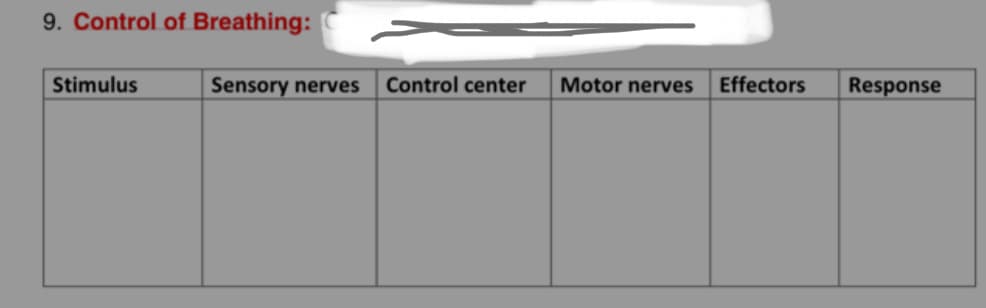 9. Control of Breathing:
Stimulus
Sensory nerves
Control center
Motor nerves
Effectors
Response
