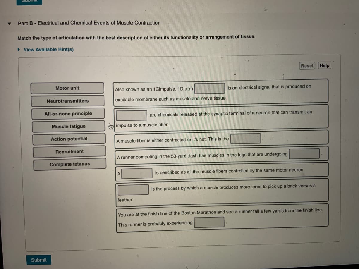 Part B - Electrical and Chemical Events of Muscle Contraction
Match the type of articulation with the best description of either its functionality or arrangement of tissue.
> View Available Hint(s)
Reset
Help
Motor unit
Also known as an 1Cimpulse, 1D a(n)
is an electrical signal that is produced on
Neurotransmitters
excitable membrane such as muscle and nerve tissue.
All-or-none principle
are chemicals released at the synaptic terminal of a neuron that can transmit an
Muscle fatigue
Sm impulse to a muscle fiber.
Action potential
A muscle fiber is either contracted or it's not. This is the
Recruitment
A runner competing in the 50-yard dash has muscles in the legs that are undergoing
Complete tetanus
is described as àll the muscle fibers controlled by the same motor neuron.
is the process by which a muscle produces more force to pick up a brick verses a
feather.
You are at the finish line of the Boston Marathon and see a runner fall a few yards from the finish line.
This runner is probably experiencing
Submit
