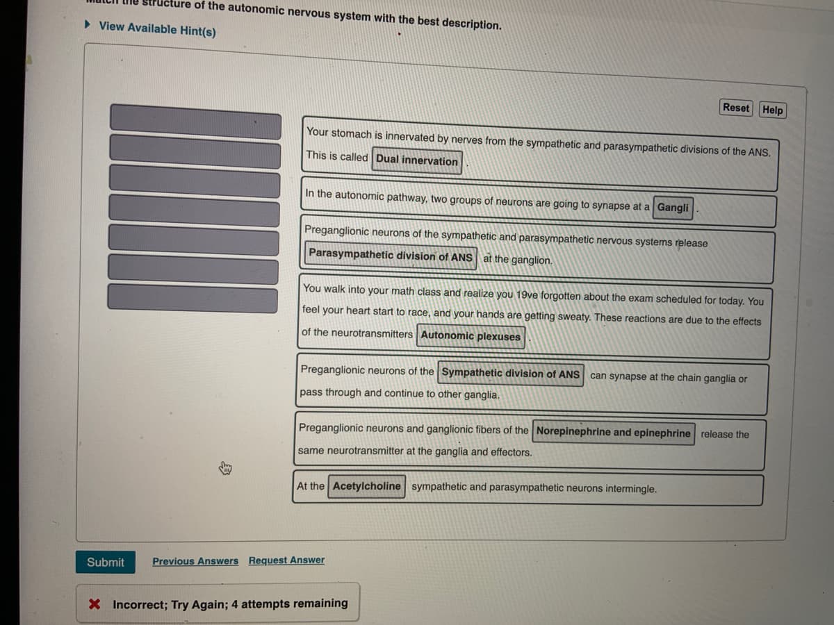 ture of the autonomic nervous system with the best description.
• View Available Hint(s)
Reset Help
Your stomach is innervated by nerves from the sympathetic and parasympathetic divisions of the ANS.
This is called Dual innervation
In the autonomic pathway, two groups of neurons are going to synapse at a Gangli
Preganglionic neurons of the sympathetic and parasympathetic nervous systems release
Parasympathetic division of ANS at the ganglion.
You walk into your math class and realize you 19ve forgotten about the exam scheduled for today. You
feel your heart start to race, and your hands are getting sweaty. These reactions are due to the effects
of the neurotransmitters Autonomic plexuses
Preganglionic neurons of the Sympathetic division of ANS can synapse at the chain ganglia or
pass through and continue to other ganglia.
Preganglionic neurons and ganglionic fibers of the Norepinephrine and epinephrine release the
same neurotransmitter at the ganglia and effectors.
At the Acetylcholine sympathetic and parasympathetic neurons intermingle.
Submit
Previous Answers Request Answer
X Incorrect; Try Again; 4 attempts remaining
