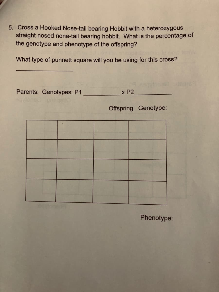 5. Cross a Hooked Nose-tail bearing Hobbit with a heterozygous
straight nosed none-tail bearing hobbit. What is the percentage of
the genotype and phenotype of the offspring?
What type of punnett square will you be using for this cross?
Parents: Genotypes: P1
x P2
Offspring: Genotype:
Phenotype:
