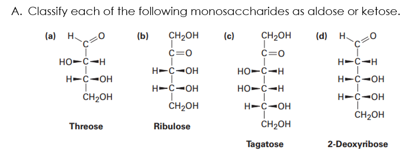 A. Classify each of the following monosaccharides as aldose or ketose.
(a) H.
(b)
CH2OH
(c)
CH2OH
(d) H.
C=0
C=0
HO-C-H
H-C-H
H-C-OH
HO-C-H
H-C-OH
H-C-OH
H-C-OH
HO-C-H
CH2OH
H-C-OH
CH2OH
H-C-OH
|
CH2OH
CH2OH
Threose
Ribulose
Tagatose
2-Deoxyribose
