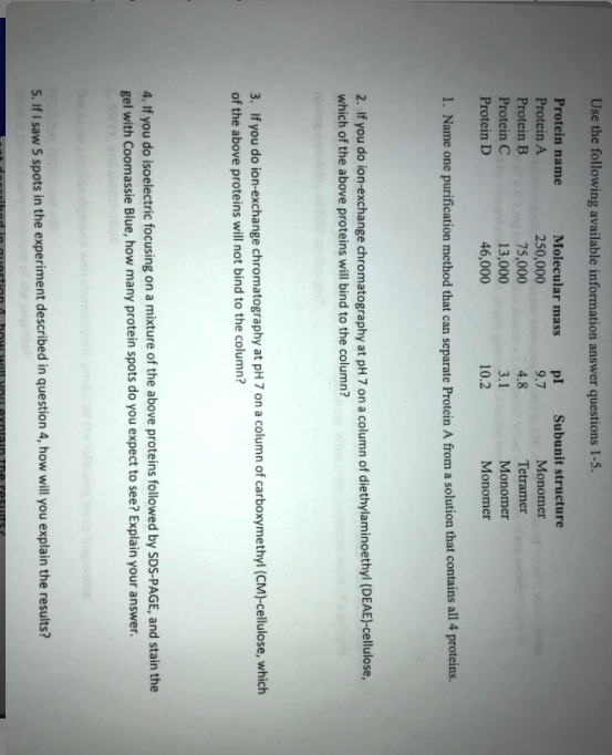 Use the following available information answer questions 1-5.
Protein name
Molecular mass
pl
Subunit structure
Protein A
250,000
9.7
Monomer
Protein B
75,000
13,000
46,000
4.8
Tetramer
Protein C
3.1
Monomer
Protein D
10.2
Monomer
1. Name one purification method that can separate Protein A from a solution that contains all 4 proteins.
2. If you do ion-exchange chromatography at pH 7 on a column of diethylaminoethyl (DEAE)-cellulose,
which of the above proteins will bind to the column?
3. If you do ion-exchange chromatography at pH 7 on a column of carboxymethyl (CM)-cellulose, which
of the above proteins will not bind to the column?
4. If you do isoelectric focusing on a mixture of the above proteins followed by SDS-PAGE, and stain the
gel with Coomassie Blue, how many protein spots do you expect to see? Explain your answer.
5. If I saw 5 spots in the experiment described in question 4, how will you explain the results?
