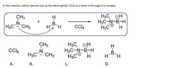 In this reaction, which species acts as the electrophile? Click on a letter A through D to answer.
CH3
H3C CH3
H3C OH
H3C-N-B-H
H
B.
HH
CI4
CH3
CC4
H3C CH3
H3C eH
H3C-N-B-H
H3C H
B
HH
А.
В.
C.
D.
