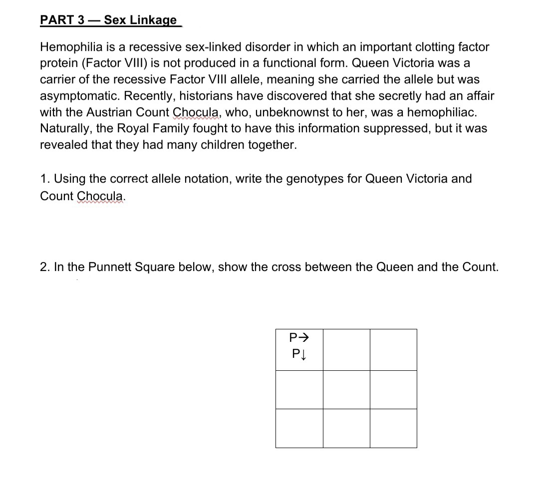 PART 3– Sex Linkage
Hemophilia is a recessive sex-linked disorder in which an important clotting factor
protein (Factor VIII) is not produced in a functional form. Queen Victoria was a
carrier of the recessive Factor VIII allele, meaning she carried the allele but was
asymptomatic. Recently, historians have discovered that she secretly had an affair
with the Austrian Count Chocula, who, unbeknownst to her, was a hemophiliac.
Naturally, the Royal Family fought to have this information suppressed, but it was
revealed that they had many children together.
1. Using the correct allele notation, write the genotypes for Queen Victoria and
Count Chocula.
2. In the Punnett Square below, show the cross between the Queen and the Count.
P>
PĮ
