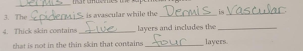 that
Vermis
3. The
Epidermis
4. Thick skin contains five
is avascular while the Dermis is Vascular.
layers and includes the
that is not in the thin skin that contains four
layers.