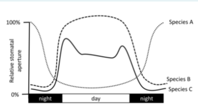 100%
Species A
Species B
Species C
0%
night
day
night
Relative stomatal
aperture
