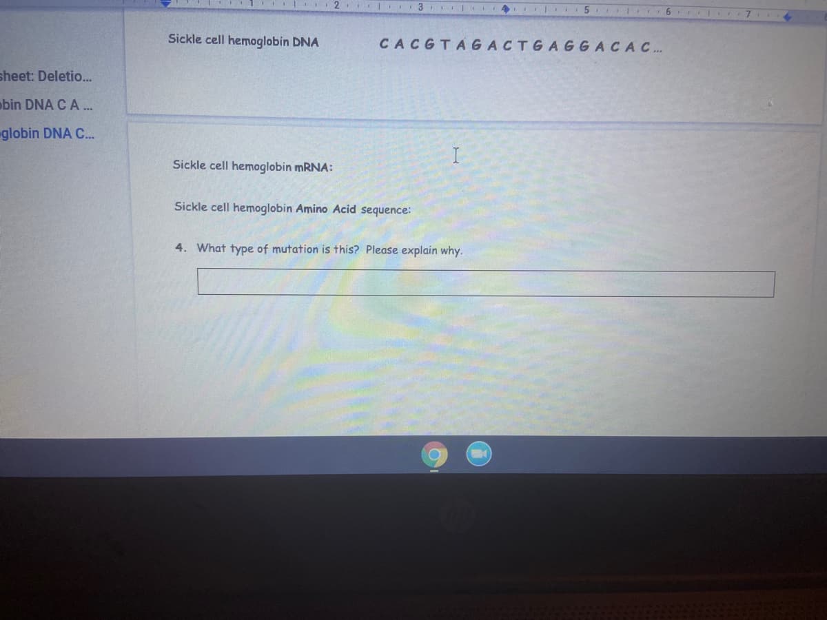 2 I 3
4 5 6 I 7
Sickle cell hemoglobin DNA
CACGTAGACTGAGGACAC..
sheet: Deletio...
obin DNA C A...
globin DNA C...
Sickle cell hemoglobin mRNA:
Sickle cell hemoglobin Amino Acid sequence:
4. What type of mutation is this? Please explain why.
