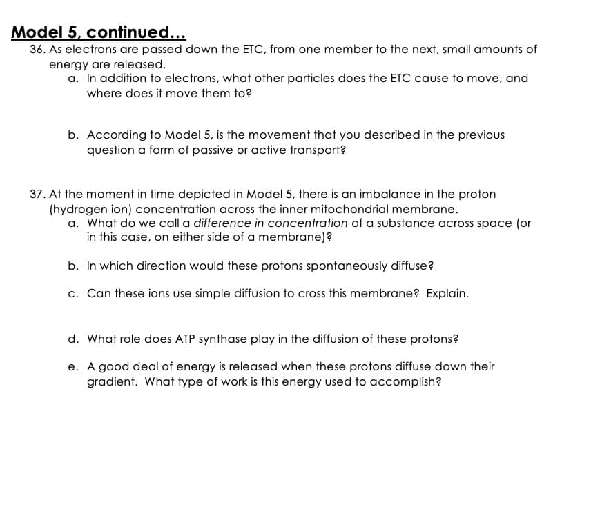 Model 5, continued...
36. As electrons are passed down the ETC, from one member to the next, small amounts of
energy are released.
a. In addition to electrons, what other particles does the ETC cause to move, and
where does it move them to?
b. According to Model 5, is the movement that you described in the previous
question a form of passive or active transport?
37. At the moment in time depicted in Model 5, there is an imbalance in the proton
(hydrogen ion) concentration across the inner mitochondrial membrane.
a. What do we call a difference in concentration of a substance across space (or
in this case, on either side of a membrane)?
b. In which direction would these protons spontaneously diffuse?
c. Can these ions use simple diffusion to cross this membrane? Explain.
d. What role does ATP synthase play in the diffusion of these protons?
e. A good deal of energy is released when these protons diffuse down their
gradient. What type of work is this energy used to accomplish?