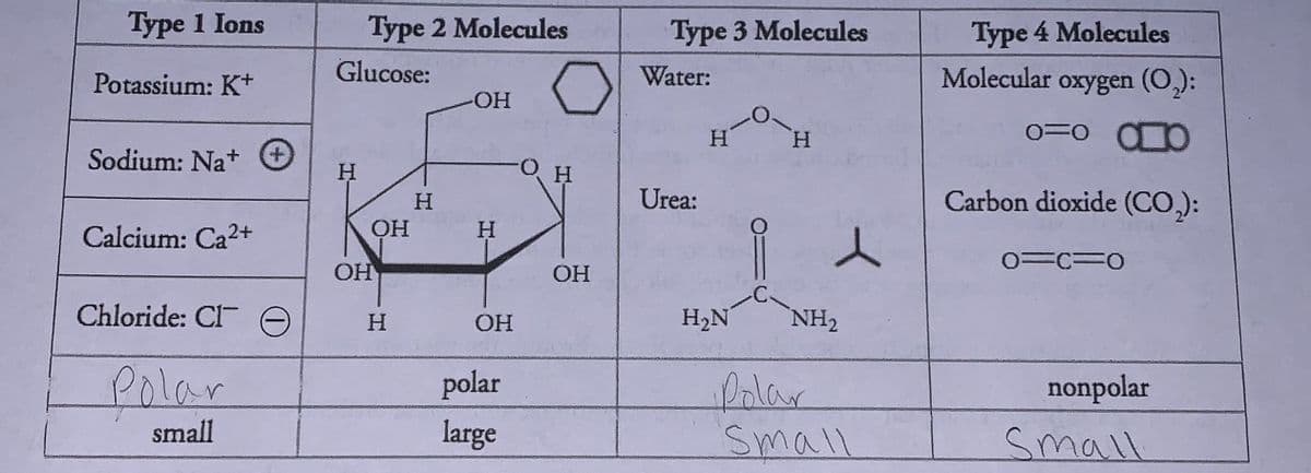 Type 1 Ions
Type 2 Molecules
Type 3 Molecules
Type 4 Molecules
Glucose:
Molecular oxygen (0,):
Potassium: K+
Water:
O-
H.
Sodium: Na+
+,
H
Urea:
Carbon dioxide (CO,):
H.
OH
H
Calcium: Ca2+
0=C=0
OH
OH
C.
Chloride: CI e
H2N
NH2
H.
Polar
polar
folar
Small
nonpolar
small
large
Small
