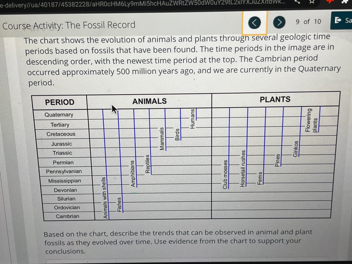 e-delivery//ua/40187/45382228/aHR0cHM6Ly9mMi5hcHAUZWRtZW50dWouY29tL2xlYXJuZXItawk...
Course Activity: The Fossil Record
9 of 10
The chart shows the evolution of animals and plants through several geologic time
periods based on fossils that have been found. The time periods in the image are in
descending order, with the newest time period at the top. The Cambrian period
occurred approximately 500 million years ago, and we are currently in the Quaternary
period.
PERIOD
Quaternary
Tertiary
Cretaceous
Jurassic
Triassic
Permian
Pennsylvanian
Mississippian
Devonian
Silurian
Ordovician
Cambrian
Animals with shells
Fishes
ANIMALS
20
Amphibians
Reptiles
Mammals
Birds
Human
Club mosses
Horsetail rushes
PLANTS
Pines
Ginkos
Flowering
plants
Based on the chart, describe the trends that can be observed in animal and plant
fossils as they evolved over time. Use evidence from the chart to support your
conclusions.
Sa