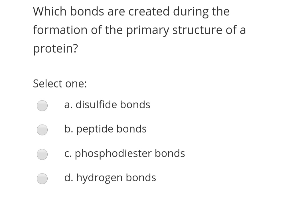 Which bonds are created during the
formation of the primary structure of a
protein?
Select one:
a. disulfide bonds
b. peptide bonds
c. phosphodiester bonds
d. hydrogen bonds
