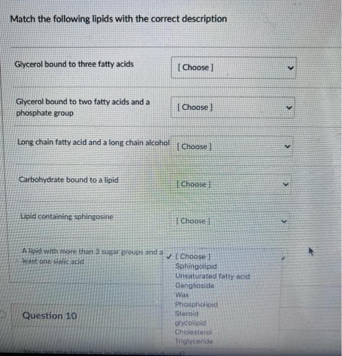 Match the following lipids with the correct description
Glycerol bound to three fatty acids
[ Choose ]
Glycerol bound to two fatty acids and a
phosphate group
| Choose ]
Long chain fatty acid and a long chain alcohol
|Choose ]
Carbohydrate bound to a lipid
[Choose |
Lipid containing sphingosine
[Choose
A lipid with more than 3 sugar groups and a
V £Choose]
Sphingolipid
Unsaturated fatty acid
Ganglioside
least one sialic acid
Wax
Phospholipid
Steroid
Question 10
glycolipid
Cholesterol
Triglyceride
