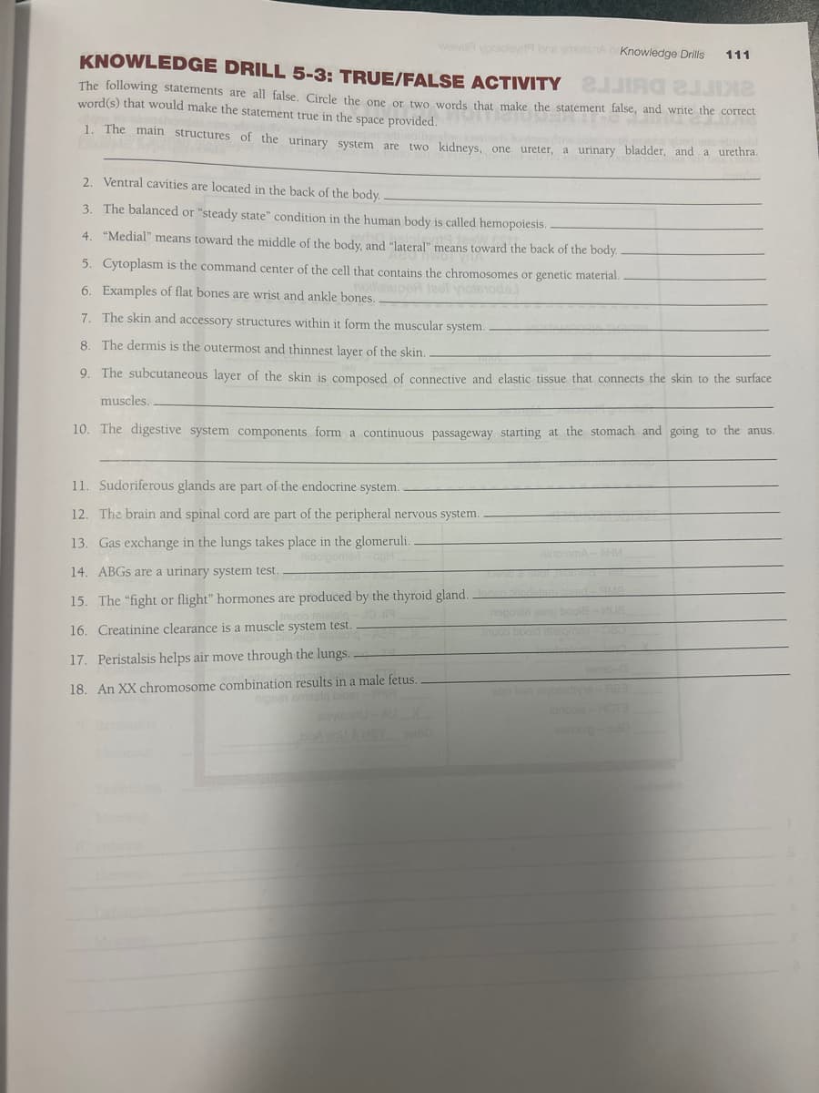 weiva pololay bns moten Knowledge Drills 111
KNOWLEDGE DRILL 5-3: TRUE/FALSE ACTIVITY
The following statements are all false. Circle the one or two words that make the statement false, and write the correct
word(s) that would make the statement true in the space provided.
rds that make the
1. The main structures of the urinary system are two kidneys, one ureter, a urinary bladder, and a urethra.
2. Ventral cavities are located in the back of the body.
3. The balanced or "steady state" condition in the human body is called hemopoiesis..
4. "Medial" means toward the middle of the body, and "lateral" means toward the back of the body.
5. Cytoplasm is the command center of the cell that contains the chromosomes or genetic material.
nollielupe teet violetode.
6. Examples of flat bones are wrist and ankle bones.
7. The skin and accessory structures within it form the muscular system.
8. The dermis is the outermost and thinnest layer of the skin.
9. The subcutaneous layer of the skin is composed of connective and elastic tissue that connects the skin to the surface
muscles.
10. The digestive system components form a continuous passageway starting at the stomach and going to the anus.
11. Sudoriferous glands are part of the endocrine system.
12. The brain and spinal cord are part of the peripheral nervous system.
13. Gas exchange in the lungs takes place in the glomeruli.
14. ABGs are a urinary system test.
15. The "fight or flight" hormones are produced by the thyroid gland.
16. Creatinine clearance is a muscle system test.
17. Peristalsis helps air move through the lungs.
18. An XX chromosome combination results in a male fetus..
nipsen smaziq bigs:-ASR
bloA pild
