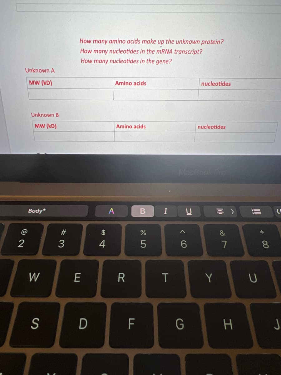 Unknown A
MW (KD)
2
Unknown B
MW (KD)
Body*
W
S
#3
How many amino acids make up the unknown protein?
How many nucleotides in the mRNA transcript?
How many nucleotides in the gene?
E
D
$
↸
A
Amino acids
Amino acids
R
F
B
%
сл оро
5
I
T
6
nucleotides
MacBook Pro
G
nucleotides
Y
&
7
H
U
* 00
8
J