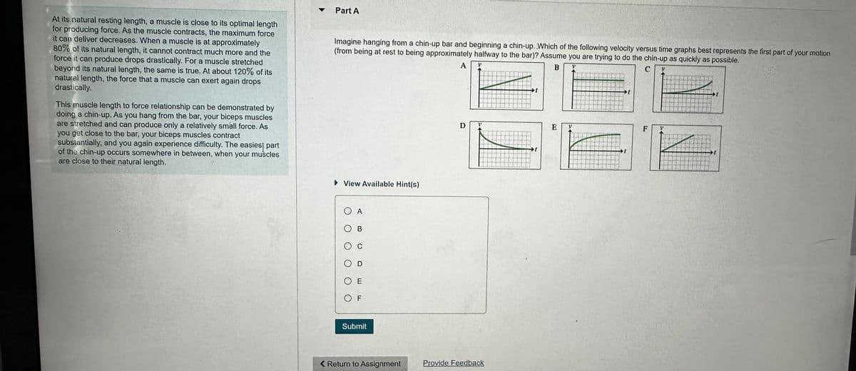 At its natural resting length, a muscle is close to its optimal length
for producing force. As the muscle contracts, the maximum force
it can deliver decreases. When a muscle is at approximately
80% of its natural length, it cannot contract much more and the
force it can produce drops drastically. For a muscle stretched
beyond its natural length, the same is true. At about 120% of its
natural length, the force that a muscle can exert again drops
drastically.
This muscle length to force relationship can be demonstrated by
doing a chin-up. As you hang from the bar, your biceps muscles
are stretched and can produce only a relatively small force. As
you get close to the bar, your biceps muscles contract
substantially, and you again experience difficulty. The easies part
of the chin-up occurs somewhere in between, when your muscles
are close to their natural length.
Part A
Imagine hanging from a chin-up bar and beginning a chin-up. Which of the following velocity versus time graphs best represents the first part of your motion
(from being at rest to being approximately halfway to the bar)? Assume you are trying to do the chin-up as quickly as possible.
A
D
P
14
B
E
14
C
F
"
+1
+1
▸ View Available Hint(s)
О А
О в
О
○ E
OF
Submit
< Return to Assignment
Provide Feedback