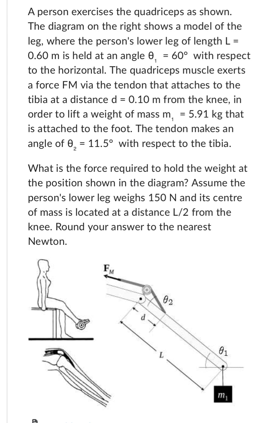 1
A person exercises the quadriceps as shown.
The diagram on the right shows a model of the
leg, where the person's lower leg of length L =
0.60 m is held at an angle 0₁ = 60° with respect
to the horizontal. The quadriceps muscle exerts
a force FM via the tendon that attaches to the
tibia at a distance d = 0.10 m from the knee, in
order to lift a weight of mass m₁ = 5.91 kg that
is attached to the foot. The tendon makes an
angle of 0₂ = 11.5° with respect to the tibia.
2
What is the force required to hold the weight at
the position shown in the diagram? Assume the
person's lower leg weighs 150 N and its centre
of mass is located at a distance L/2 from the
knee. Round your answer to the nearest
Newton.
FM
M
d-
02
01
m₁