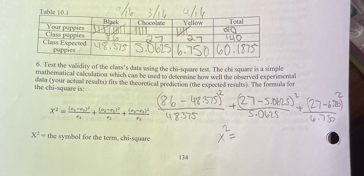 Table 10.1
9/16 3/16 4/14
Chocolate
Yellow
Black
Your puppies
Class puppies
gh
27
27
Class Expected 48.375 5.0625 6.750 60.1875
puppies
x² = (01-0₁)² (0₂-0₂)²
e1
e₂
+
I
6. Test the validity of the class's data using the chi-square test. The chi square is a simple
mathematical calculation which can be used to determine how well the observed experimental
data (your actual results) fits the theoretical prediction (the expected results). The formula for
the chi-square is:
(86-48.375)²
48.375
+
(03-03)²
e3
WIT
X² = the symbol for the term, chi-square
134
Total
20
140
X
+
2
(27-5.0625) (27-6.750)
5.0625
6.750
+