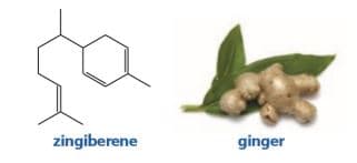 zingiberene
ginger
