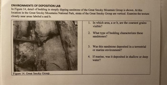 ENVIRONMENTS OF DEPOSITION LAB
In Figure 14, detail of bedding in steeply dipping sandstone of the Great Smoky Mountain Group is shown. At this
location in the Great Smoky Mountains National Park, strata of the Great Smoky Group are vertical. Examine the texture
closely near areas labeled a and b.
(b)
Q
Figure 14. Great Smoky Group.
(0)
1. In which area, a or b, are the coarsest grains
visible?
2. What type of bedding characterizes these
sandstones?
3. Was this sandstone deposited in a terrestrial
or marine environment?
4. If marine, was it deposited in shallow or deep
water?
