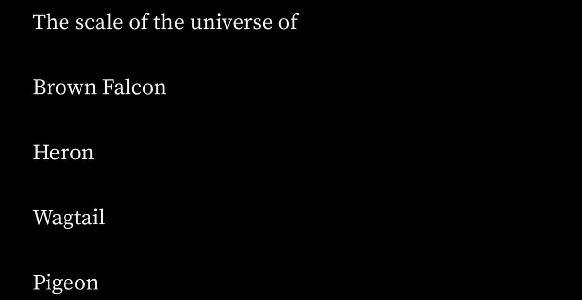 The scale of the universe of
Brown Falcon
Heron
Wagtail
Pigeon