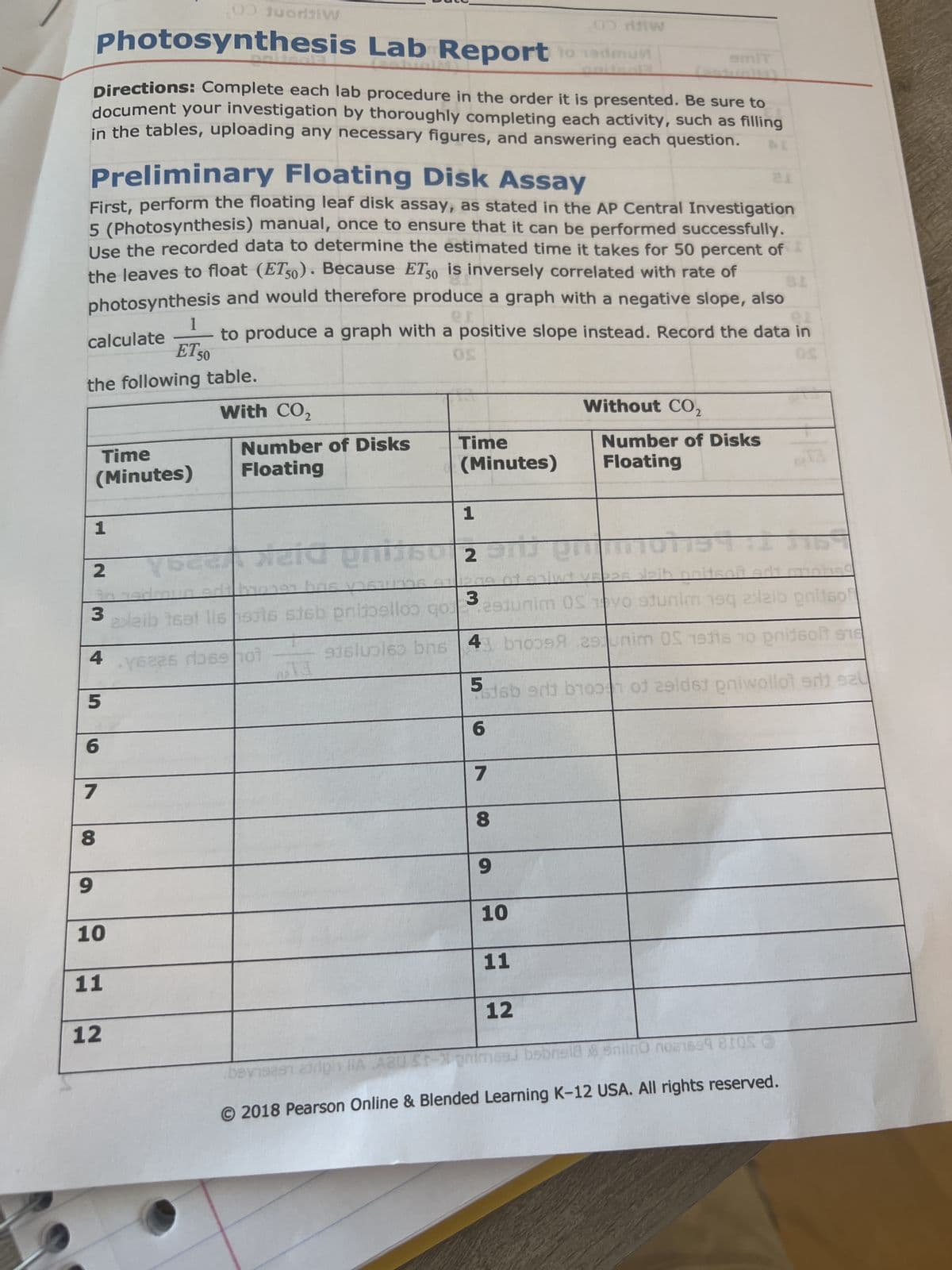 Directions: Complete each lab procedure in the order it is presented. Be sure to
document your investigation by thoroughly completing each activity, such as filling
in the tables, uploading any necessary figures, and answering each question.
Preliminary Floating Disk Assay
First, perform the floating leaf disk assay, as stated in the AP Central Investigation
5 (Photosynthesis) manual, once to ensure that it can be performed successfully.
Use the recorded data to determine the estimated time it takes for 50 percent of
the leaves to float (ET50). Because ET50 is inversely correlated with rate of
photosynthesis and would therefore produce a graph with a negative slope, also
SI
er
1
to produce a graph with a positive slope instead. Record the data in
ET 50
the following table.
OS
With CO₂
calculate
00 Juodaiw
Photosynthesis Lab Report to edu
Time
(Minutes)
1
4
5
6
7
9
8
2
911209
to ned
3
4
exleib tse! Ils sis steb prijoelloo qo.2910
yseas rioss hot
10
11
Number of Disks
Floating
12
1
weld gnijs 29
Time
(Minutes)
been held
la
7
m
B
wt vrbas Naib noitson
3.29junim OS ovo sjunim 190 2xaib prisof
9isluples bns 43 10098 29nim OS 1911s 10 poidsolt 918
5
Sadab srbi b100 of zeldet pniwollot ant sau
6
8
9
10
11
Without CO₂
12
Number of Disks
Floating
-
0213
8
beviseen airigh IIA A20 St-phimsed bebhela snilno no1659 8105
© 2018 Pearson Online & Blended Learning K-12 USA. All rights reserved.
15122311