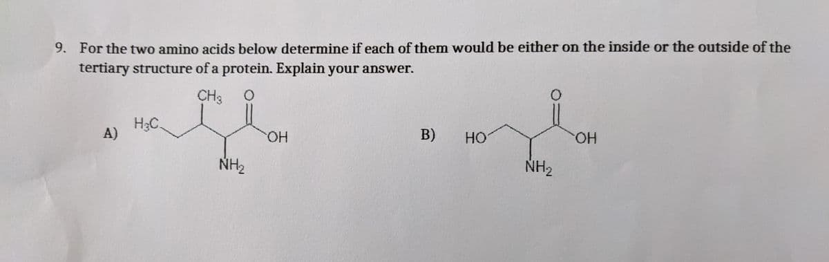 9. For the two amino acids below determine if each of them would be either on the inside or the outside of the
tertiary structure of a protein. Explain your answer.
CH3
H3C.
A)
B)
HO.
HO
HO.
NH2
NH2
