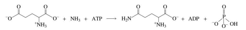 H,N
0++ ADP +
*NH3
+ NH3 + ATP
*NH3
ОН
