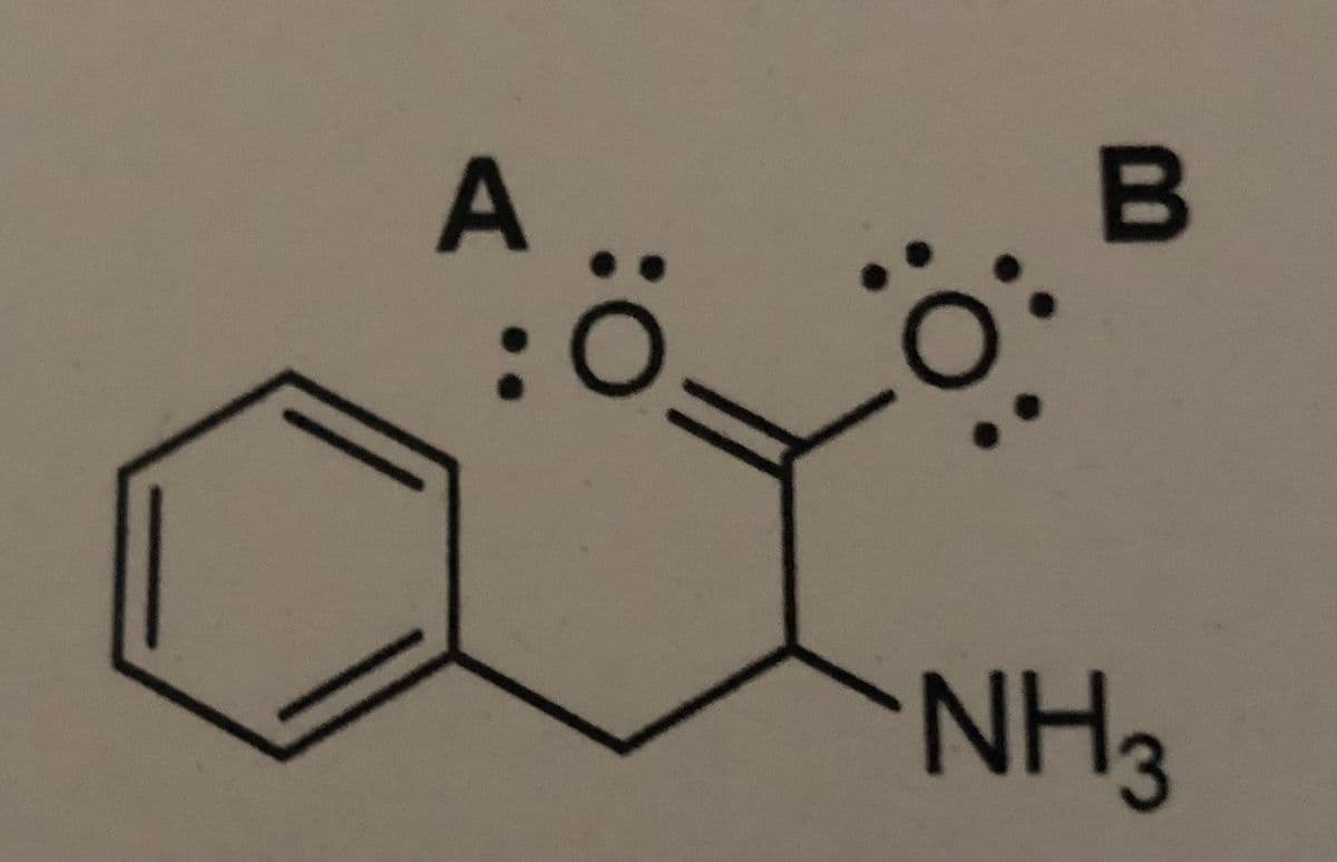 B
NH3
