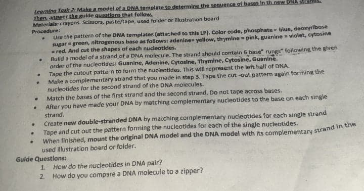 Legrning Task 2: Make a.model of a DNA template to deternmine the seguence of bases in th new DNA strahds
Then, answer the gulde questions that follow.
Materials: crayons. Scissors, paste/tape, used folder or illustration board
Procedure:
Use the pattern of the DNA templater (attached to this LP). Color code, phosphate = blue, deoxyribose
sugar = green, nitrogenous base as follows: adenine= yellow, thymine = pink, guanine = violet, cytosine
= red. And cut the shapes of each nucleotides.
Buld a model of a strand of a DNA molecule. The strand should contain 6 base" rungs" following the given
order of the nucleotides: Guanine, Adenine, Cytosine, Thymine, Cytosine, Guanine.
Tape the cutout pattern to form the nucieotides. This will represent the left half of DNA.
Make a complementary strand that you made in step 3. Tape the cut -out pattern again forming the
nucieotides for the second strand of the DNA molecules.
Match the bases of the first strand and the second strand. Do not tape across bases.
After you have made your DNA by matching compiementary nucleotides to the base on each single
strand.
Create new double-stranded DNA by matching compiementary nucleotides for each single strand
Tape and cut out the pattern forming the nucleotides for each of the single nucleotides.
used illustration board or folder.
Guide Questions:
How do the nucleotides in DNA pair?
How do you compare a DNA molecule to a zipper?
1.
2.
