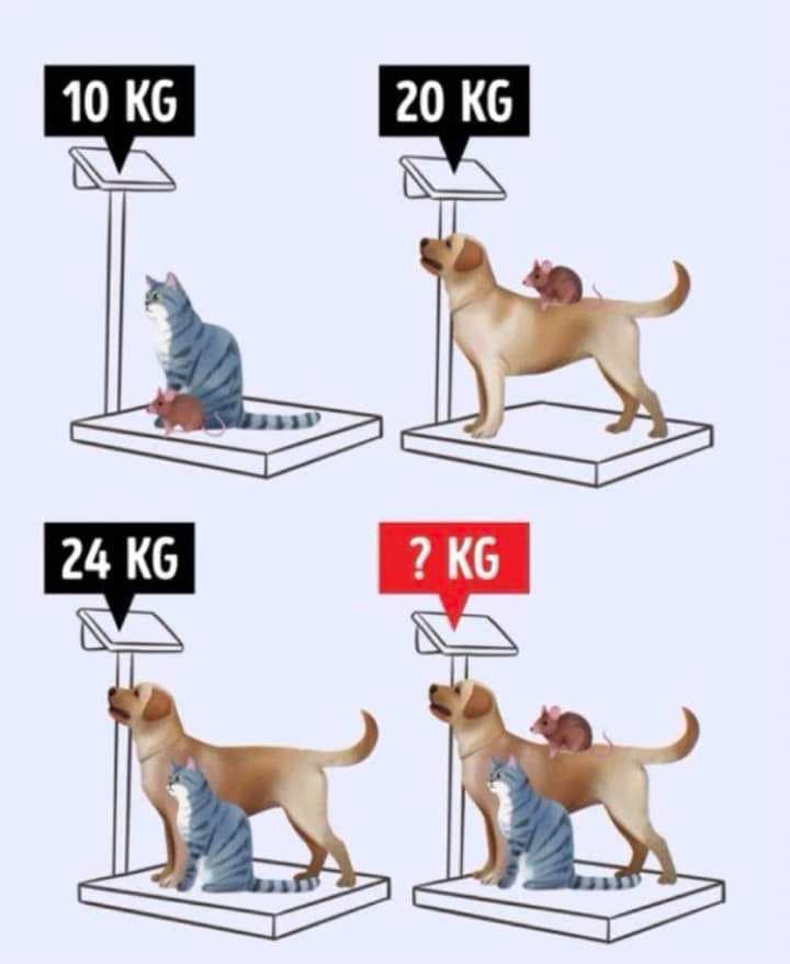 10 KG
24 KG
20 KG
? KG