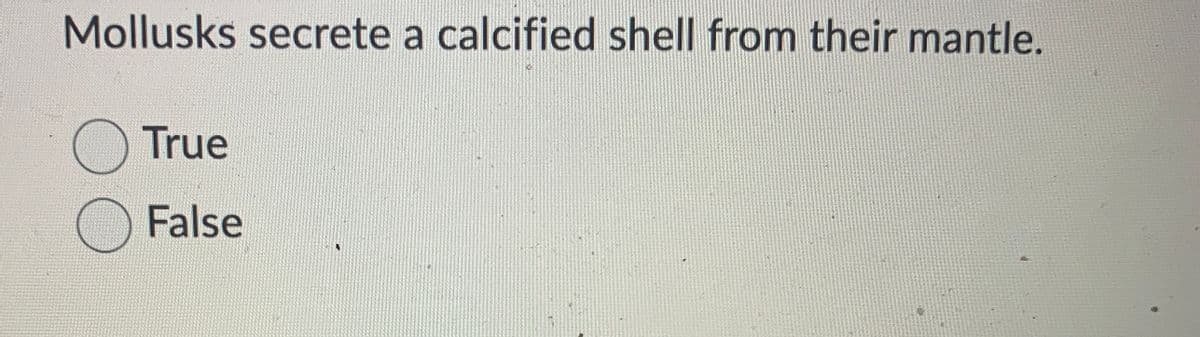 Mollusks secrete a calcified shell from their mantle.
O True
OFalse
