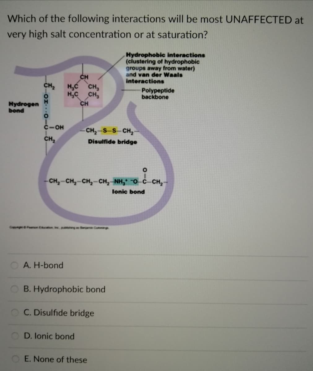 Which of the following interactions will be most UNAFFECTED at
very high salt concentration or at saturation?
Hydrophobic interactions
(clustering of hydrophobic
groups away from water)
and van der Waals
interactions
CH
CH,
H,C CH,
H,C CH,
CH
Polypeptide
backbone
Hydrogen
bond
C-OH
CH-S S CH,
CH2
Disulfide bridge
- CH,-CH,-CH,-CH, NH, -O C-CH,
lonic bond
CopyegPon Econ p g n Cun
A. H-bond
O B. Hydrophobic bond
O C. Disulfide bridge
D. lonic bond
E. None of these
