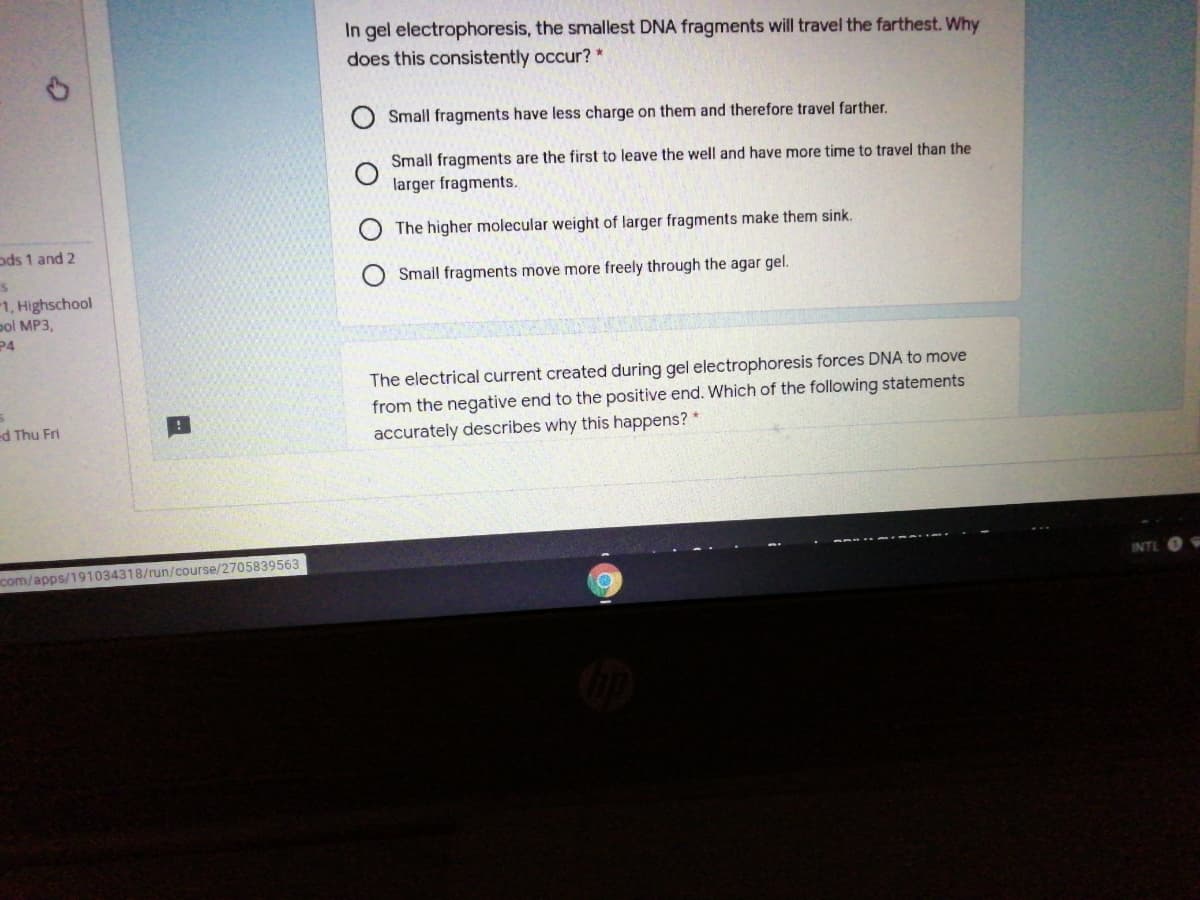 In gel electrophoresis, the smallest DNA fragments will travel the farthest. Why
does this consistently occur? *
Small fragments have less charge on them and therefore travel farther.
Small fragments are the first to leave the well and have more time to travel than the
larger fragments.
The higher molecular weight of larger fragments make them sink.
ods 1 and 2
Small fragments move more freely through the agar gel.
is
1, Highschool
pol MP3,
P4
The electrical current created during gel electrophoresis forces DNA to move
from the negative end to the positive end. Which of the following statements
accurately describes why this happens? *
ed Thu Fri
com/apps/191034318/run/course/2705839563
INTL
