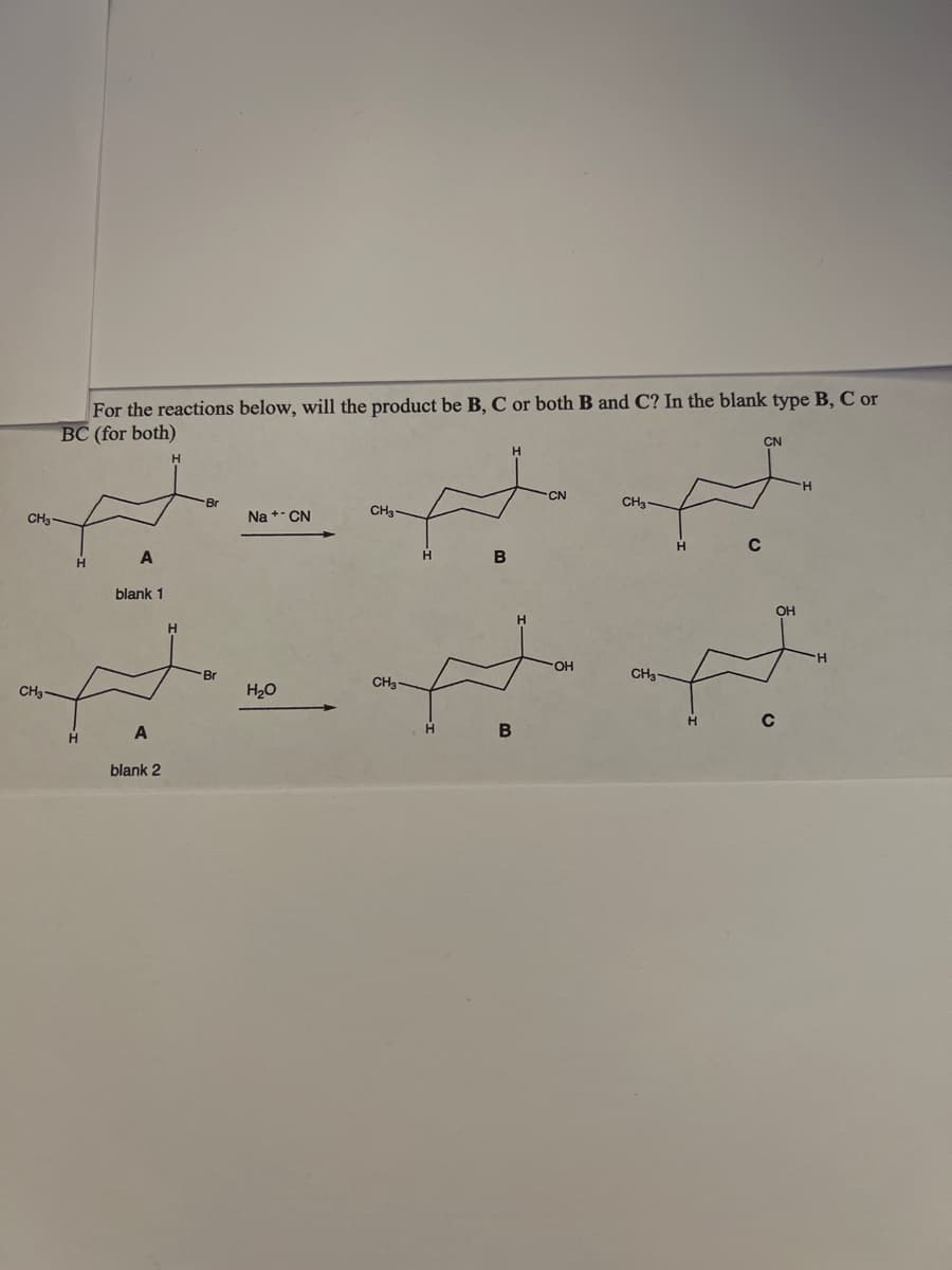 **Chemical Reactions and Product Determination Exercise**

_For the reactions below, will the product be B, C, or both B and C? In the blank, type B, C, or BC (for both)._

**Reaction Series:**

1. **First Reaction**
   - Reactant: Compound A (structure: cyclohexane with a bromine atom attached at the first carbon atom and a methyl group at the second carbon atom, facing upwards, hydrogen at the sixth carbon, facing upwards).
   - Reactant: Sodium cyanide (Na⁺ CN⁻)
   - Products:
     - Compound B: (structure: cyclohexane with a cyano group at the first carbon atom facing upwards, and a methyl group at the second carbon atom facing upwards, hydrogen at the sixth carbon, facing upwards).
     - Compound C: (structure: cyclohexane with a cyano group at the first carbon atom facing downwards, and a methyl group at the second carbon atom facing upwards, hydrogen at the sixth carbon, facing upwards).
   - **Blank 1**: [Answer as B, C, or BC]

2. **Second Reaction**
   - Reactant: Compound A (structure: cyclohexane with a bromine atom attached at the first carbon atom and a methyl group at the second carbon atom, facing upwards, hydrogen at the sixth carbon, facing upwards).
   - Reactant: Water (H₂O)
   - Products:
     - Compound B: (structure: cyclohexane with a hydroxyl group at the first carbon atom facing upwards, and a methyl group at the second carbon atom facing upwards, hydrogen at the sixth carbon, facing upwards).
     - Compound C: (structure: cyclohexane with a hydroxyl group at the first carbon atom facing downwards, and a methyl group at the second carbon atom facing upwards, hydrogen at the sixth carbon, facing upwards).
   - **Blank 2**: [Answer as B, C, or BC]

In this exercise, you need to determine which products will be formed under the given reaction conditions. Fill in the blanks with B, C, or BC based on your understanding of the chemical reactions and the likely stereochemistry of the products.
