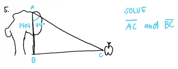 5.
SOLVE
AC and BC
B
