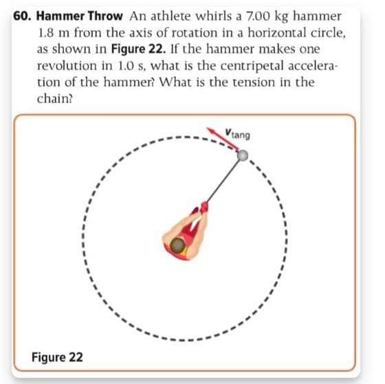 60. Hammer Throw An athlete whirls a 7.00 kg hammer
1.8 m from the axis of rotation in a horizontal circle,
as shown in Figure 22. If the hammer makes one
revolution in 1.0 s, what is the centripetal accelera-
tion of the hammer? What is the tension in the
chain?
Vtang
Figure 22
