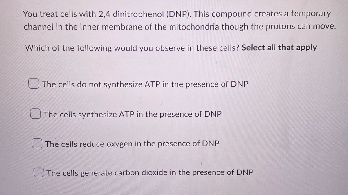 You treat cells with 2,4 dinitrophenol (DNP). This compound creates a temporary
channel in the inner membrane of the mitochondria though the protons can move.
Which of the following would you observe in these cells? Select all that apply
The cells do not synthesize ATP in the presence of DNP
The cells synthesize ATP in the presence of DNP
The cells reduce oxygen in the presence of DNP
The cells generate carbon dioxide in the presence of DNP
