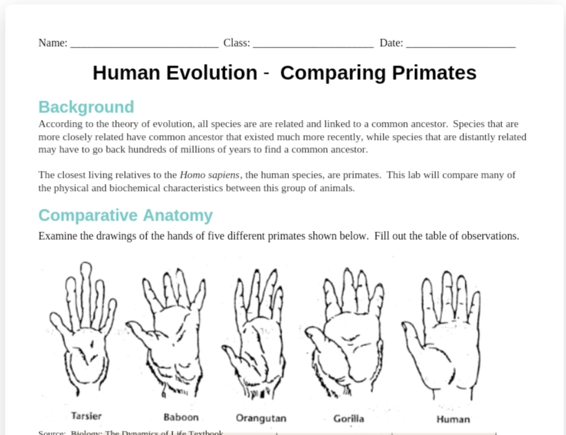 Name:
Class:
Human Evolution - Comparing Primates
Background
According to the theory of evolution, all species are are related and linked to a common ancestor. Species that are
more closely related have common ancestor that existed much more recently, while species that are distantly related
may have to go back hundreds of millions of years to find a common ancestor.
The closest living relatives to the Homo sapiens, the human species, are primates. This lab will compare many of
the physical and biochemical characteristics between this group of animals.
Comparative Anatomy
Examine the drawings of the hands of five different primates shown below. Fill out the table of observations.
Tarsier
Baboon
Source: Biology: The Dynamics of Iife Textbook
Date:
RA
Orangutan
V
Gorilla
AMM
Human