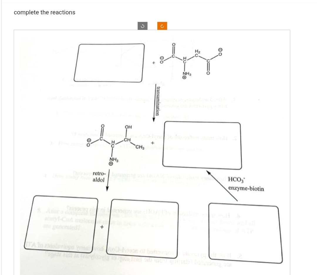 complete the reactions
O
OH
CH
lyhen
CH3
NH3
O
aldol
+
+
AY
NH3
transamination
HCO3
enzyme-biotin